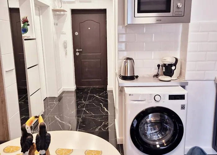 Cozy Nest Near Bulevardul Decebal