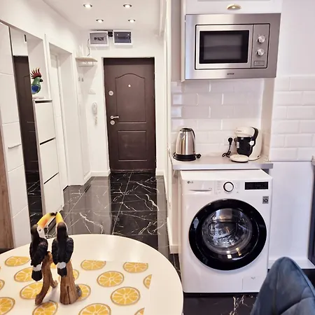 Cozy Nest Near Bulevardul Decebal